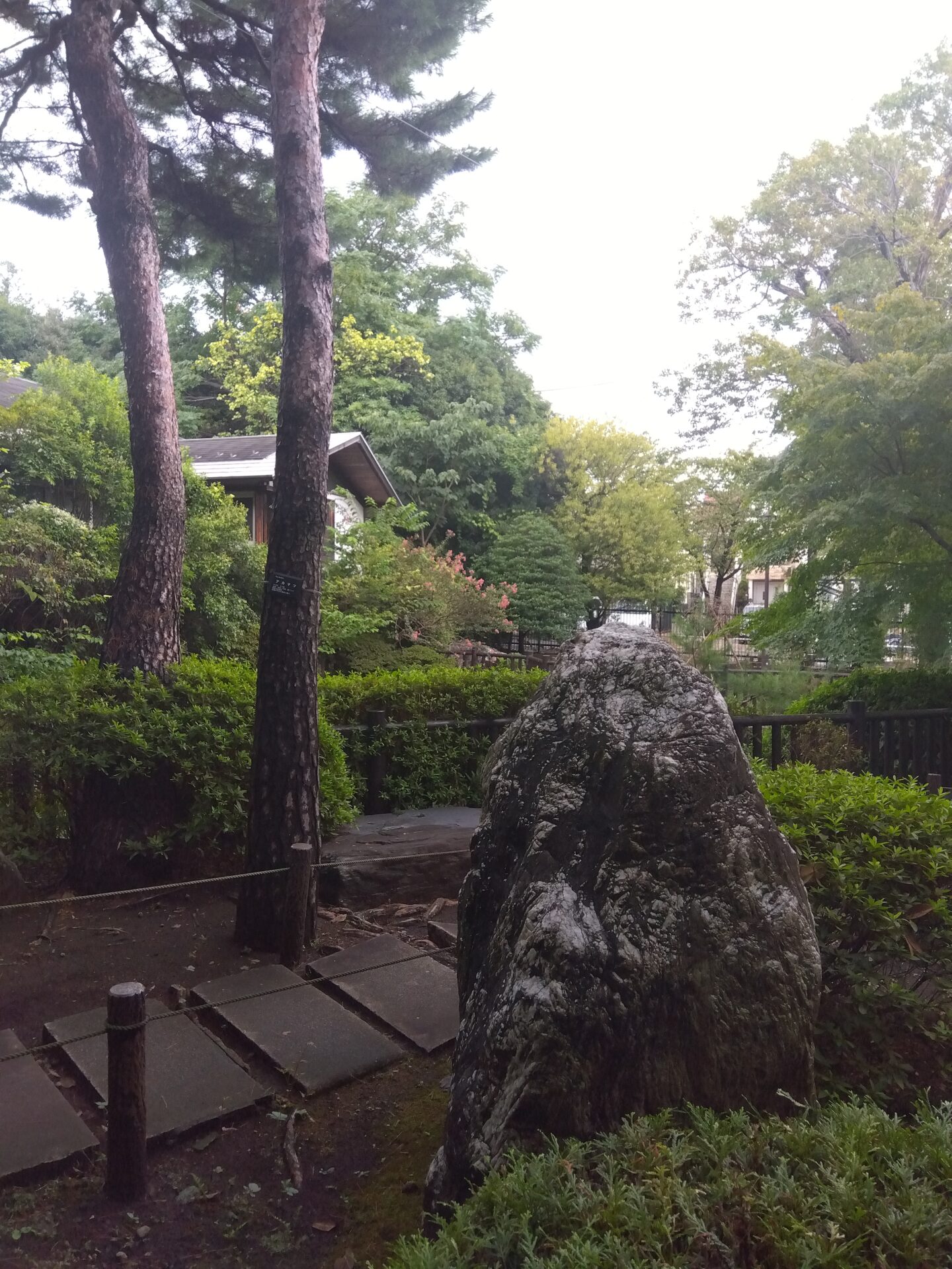 『ＳＥＮＪＩＮ ＧＯ世田谷』庭園の岩が語る