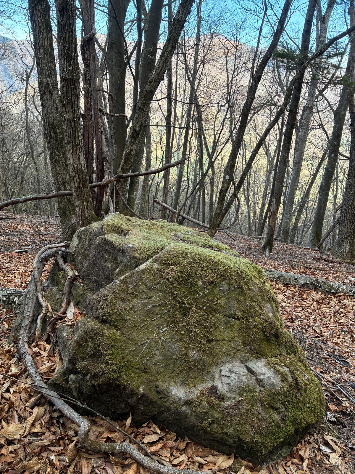 『僕らの知らざるエネルギー汲み上げ装置』三峯神社